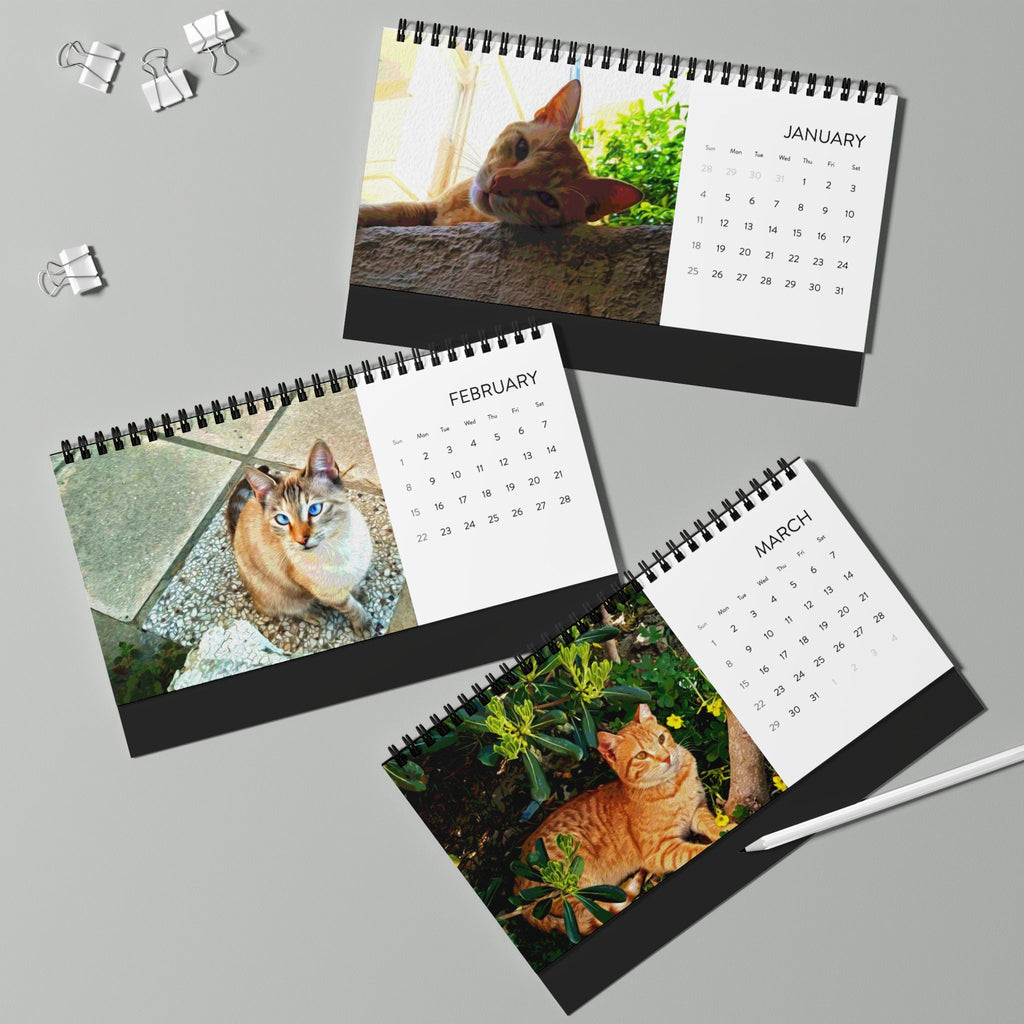 Street Cats, Desktop Calendar (2026 grid)