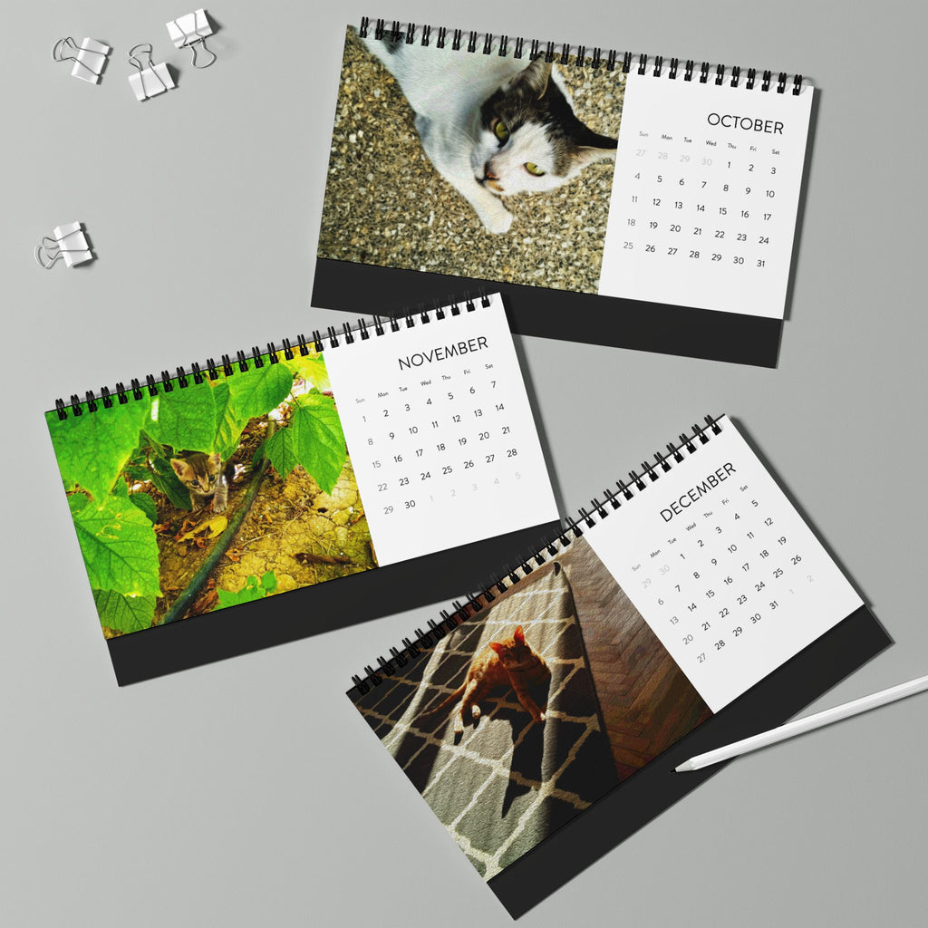 Street Cats, Desktop Calendar (2026 grid)