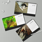 Street Cats, Desktop Calendar (2026 grid)